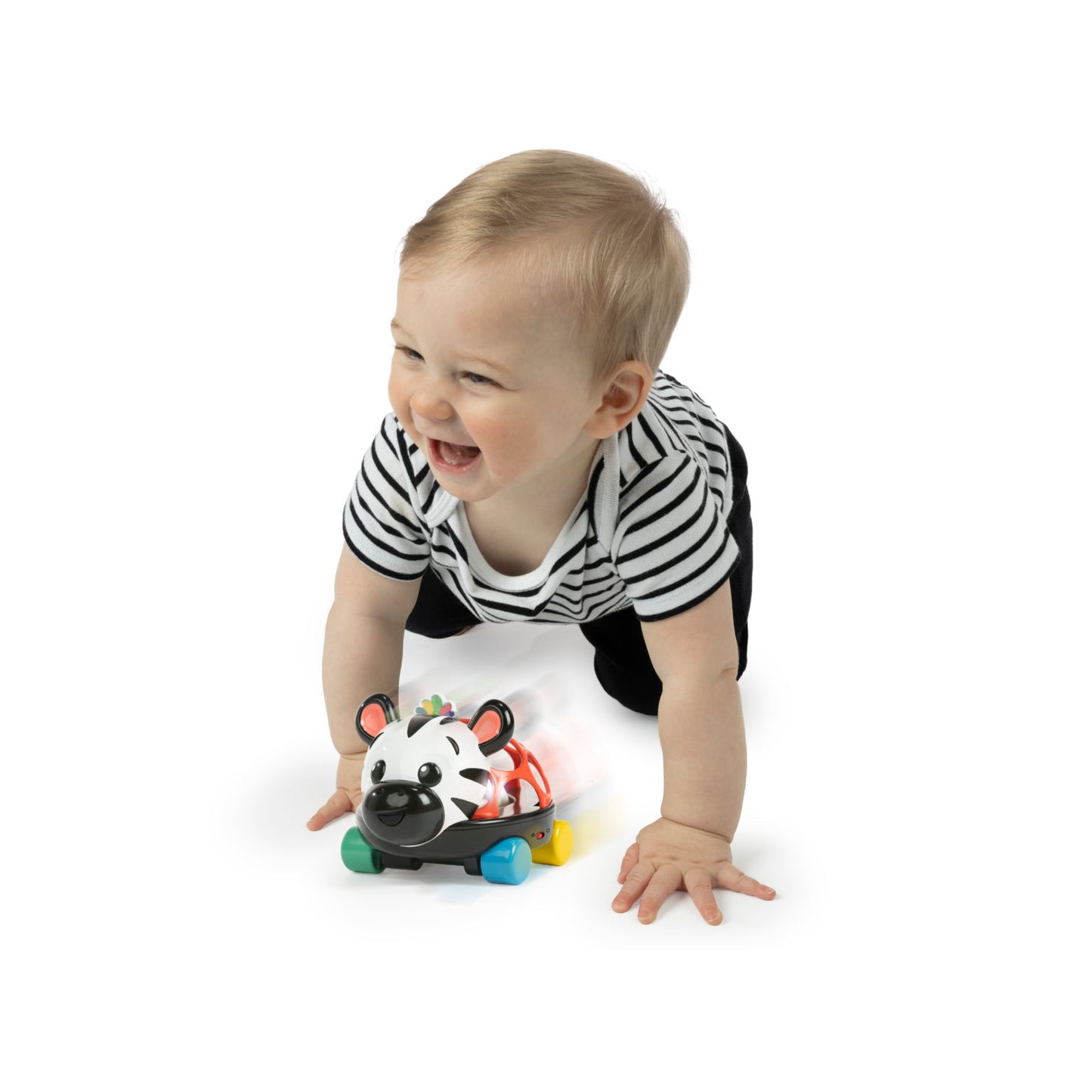 Zebra Oball Bil
